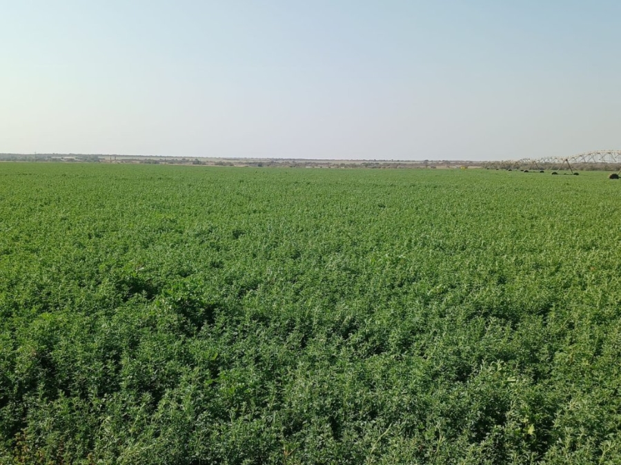 Commercial Property for Sale in Douglas Rural Northern Cape